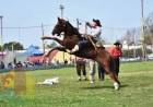 Se vivirán 3 noches de jinetada y canto en el 51º Festival de Doma y Tradición