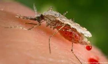 Recomendaciones sobre el Cuidado que deben tener los viajeros.