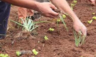 INTA brindará curso gratuito y a distancia sobre agroecología