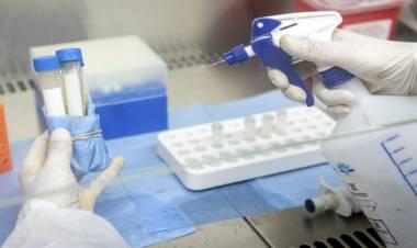 Investigadores lograron secuenciar el genoma completo SARS COV-2