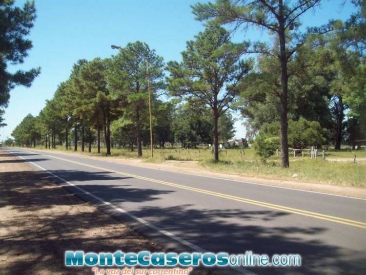 Ruta Provincial 129