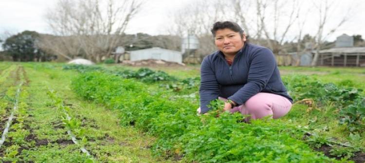 Con inscripción libre y gratuita, INTA lanza un nuevo curso virtual sobre agroecología