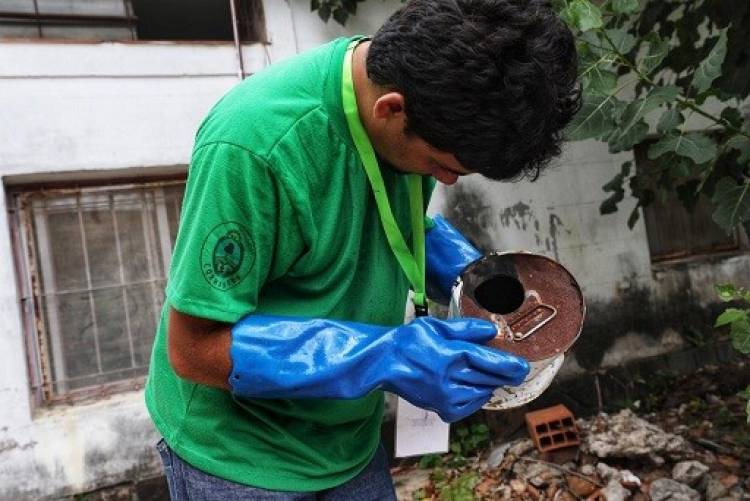 Corrientes tiene más de 100 casos confirmados de Dengue.
